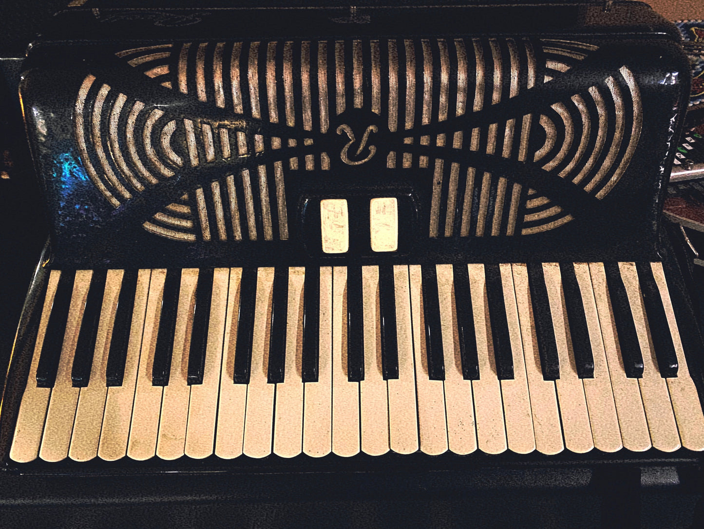 Vital Organ by Wu10