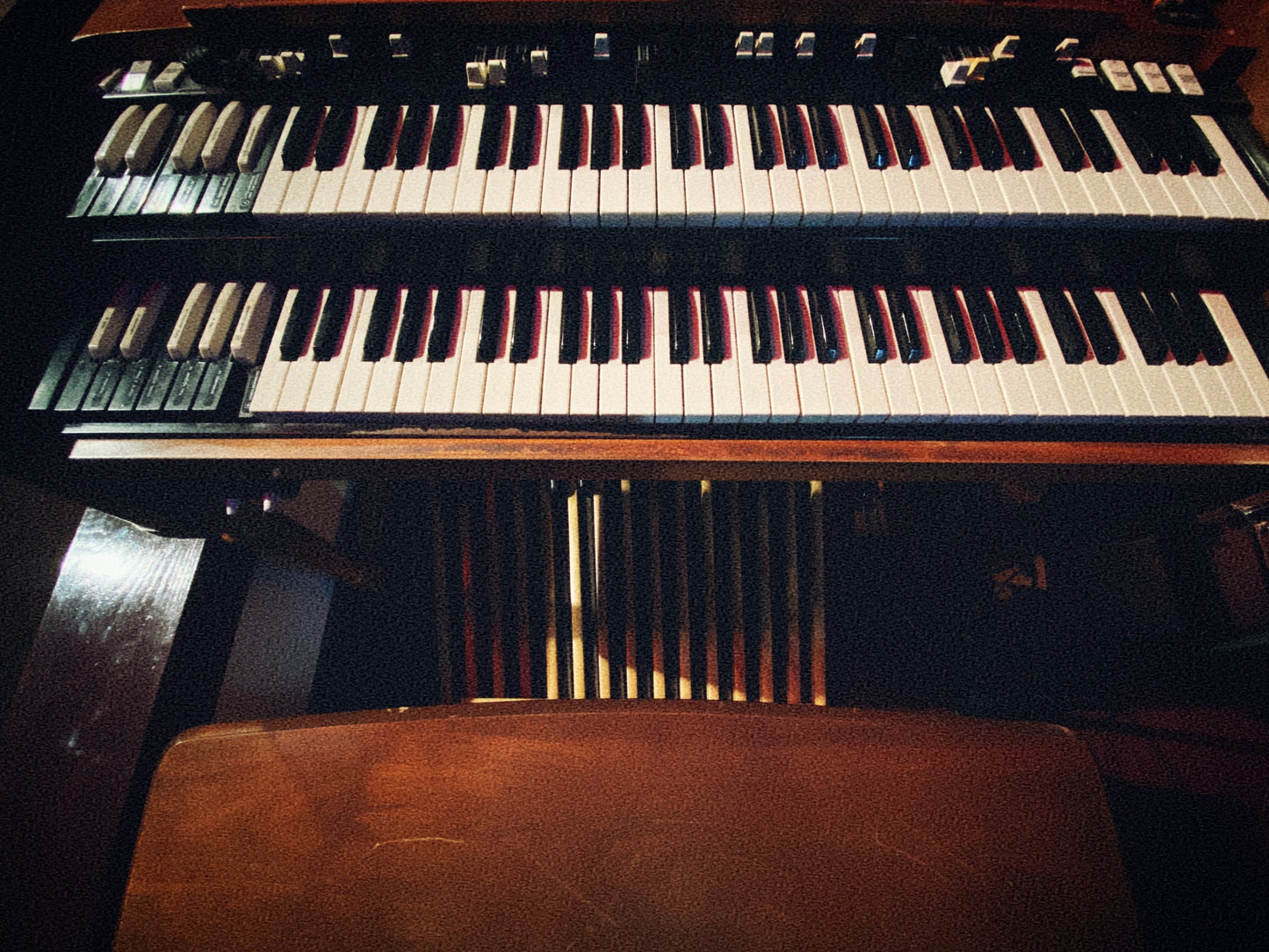 Vital Organ by Wu10